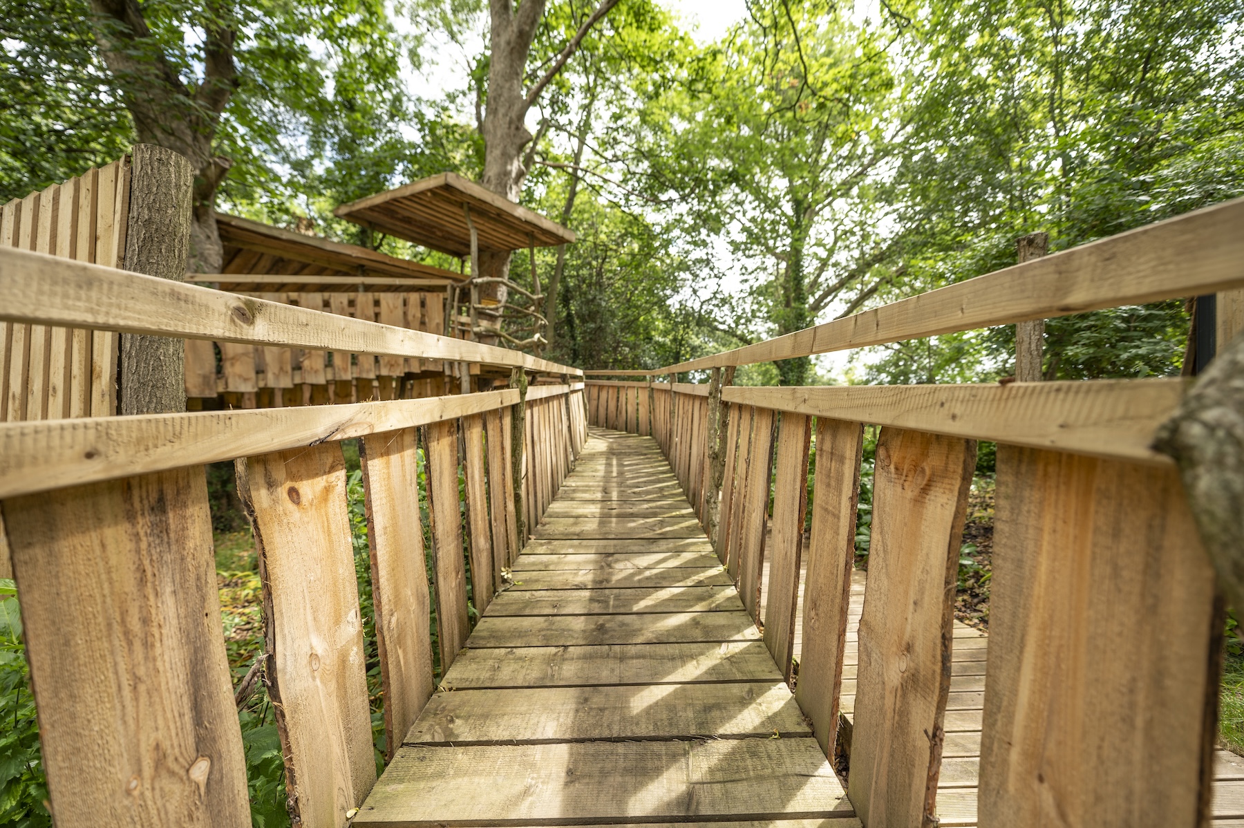 safe escape lodge